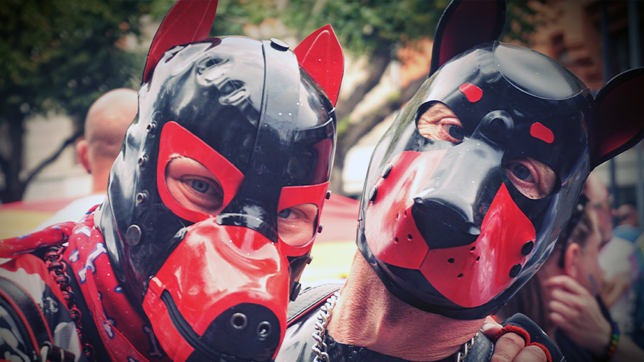 an image of two men wearing pup masks